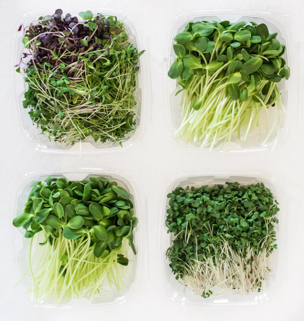 Microgreens